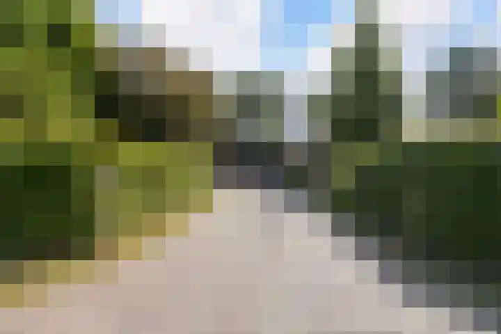 Tweede Compagnonsweg 4 Bontebok thumbnail 9