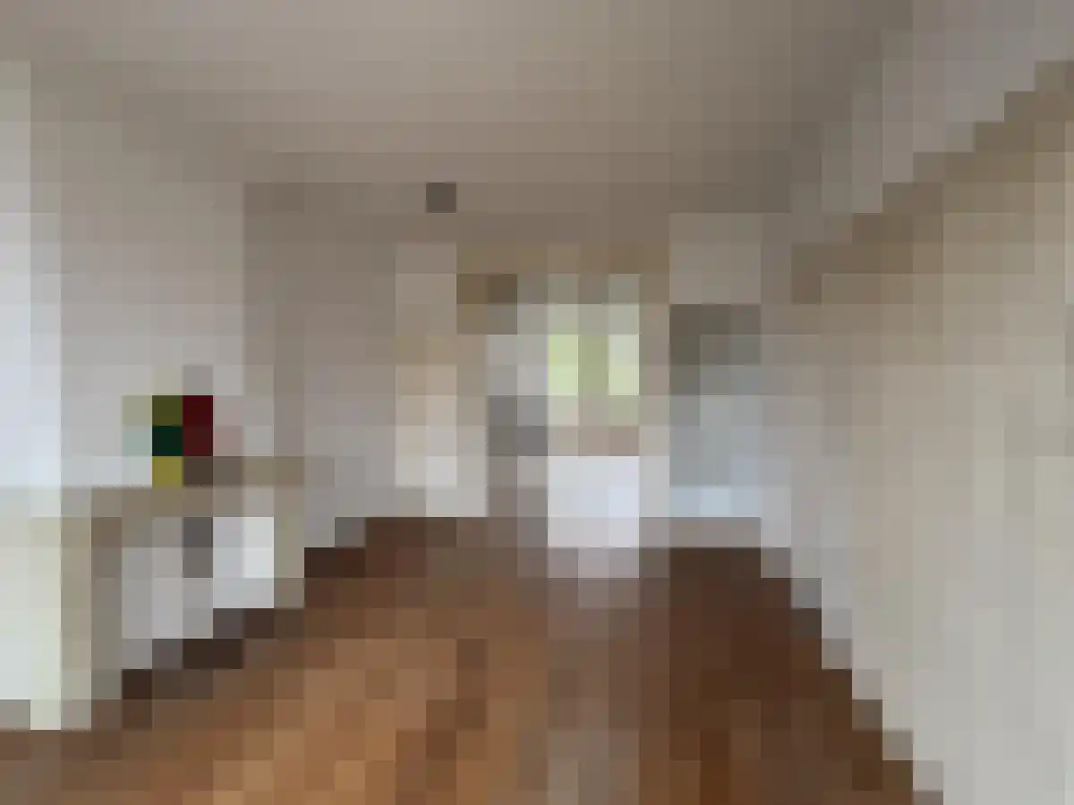 Tweede Constantijn Huygensstraat 59 2 Amsterdam thumbnail 4