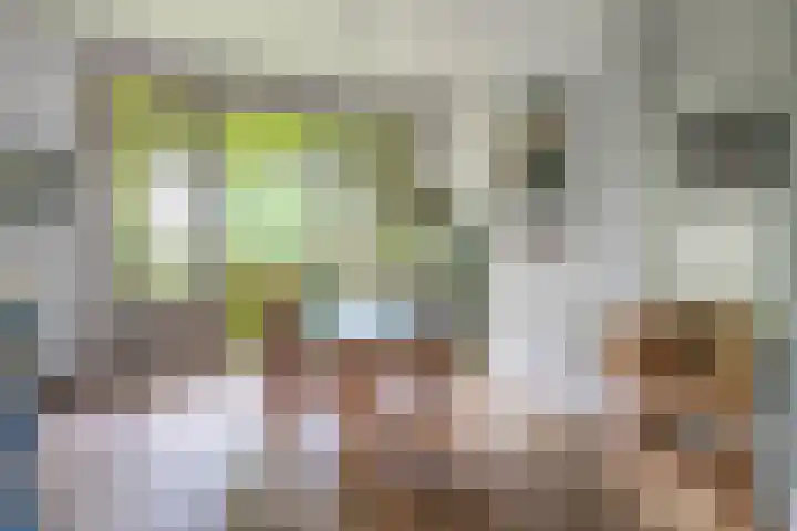 Tweede Constantijn Huygensstraat 74 H Amsterdam thumbnail 20