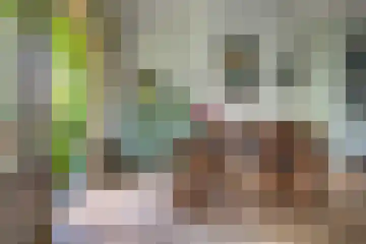 Tweede Constantijn Huygensstraat 74 H Amsterdam thumbnail 21