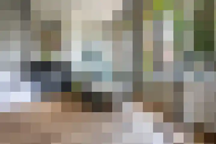 Tweede Constantijn Huygensstraat 74 H Amsterdam thumbnail 4