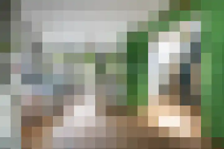 Tweede Constantijn Huygensstraat 74 H Amsterdam thumbnail 6