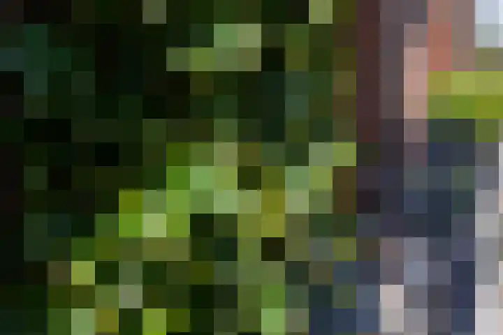 Tweede Constantijn Huygensstraat 74 H Amsterdam thumbnail 9
