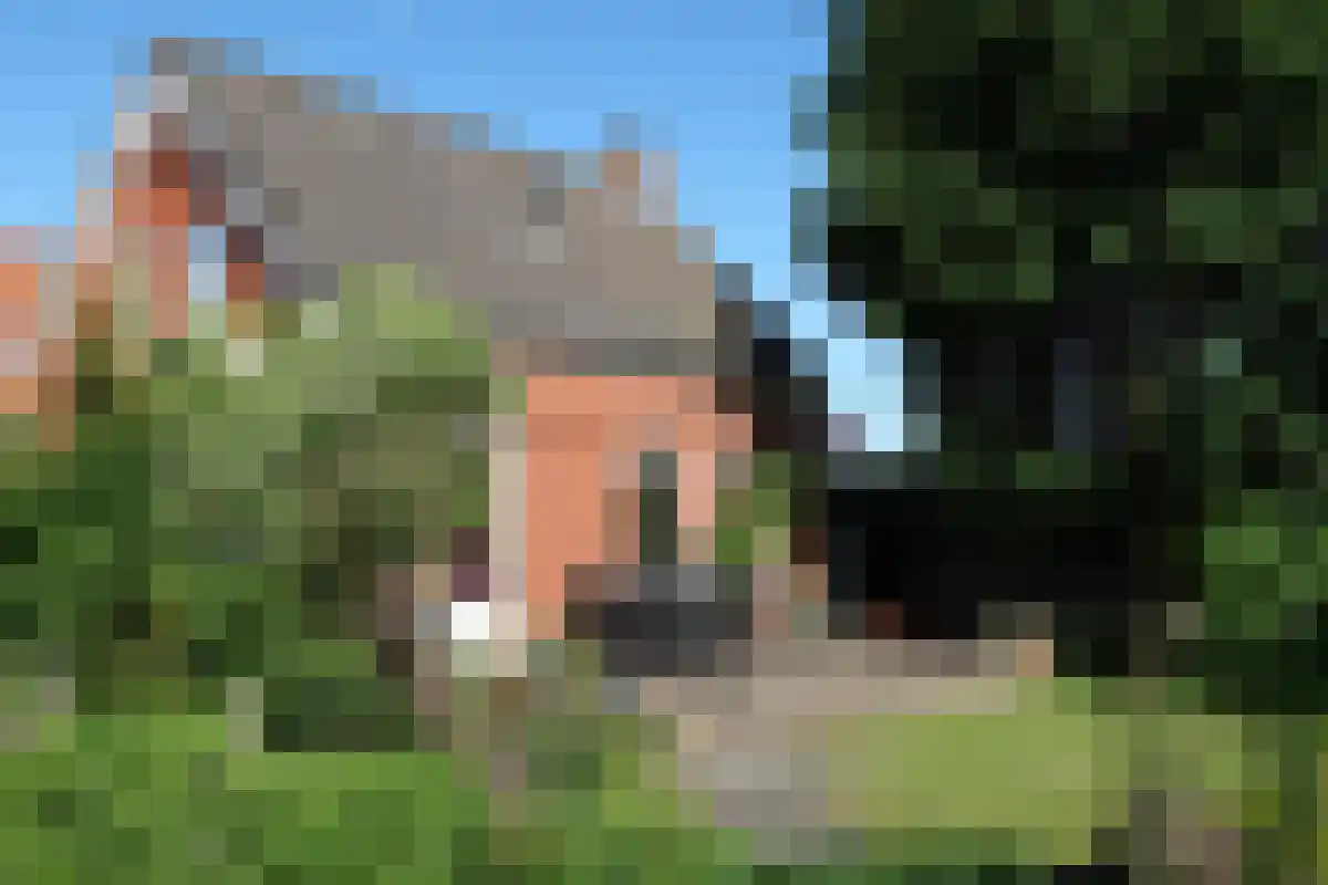 Tweede Dijk 3 Sint-Maartensdijk