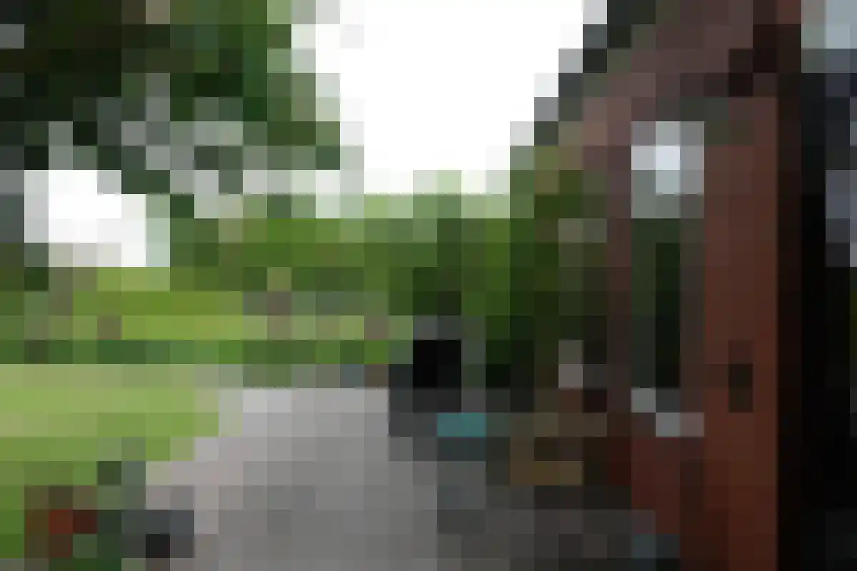 Tweede Dijk 3 Sint-Maartensdijk thumbnail 4