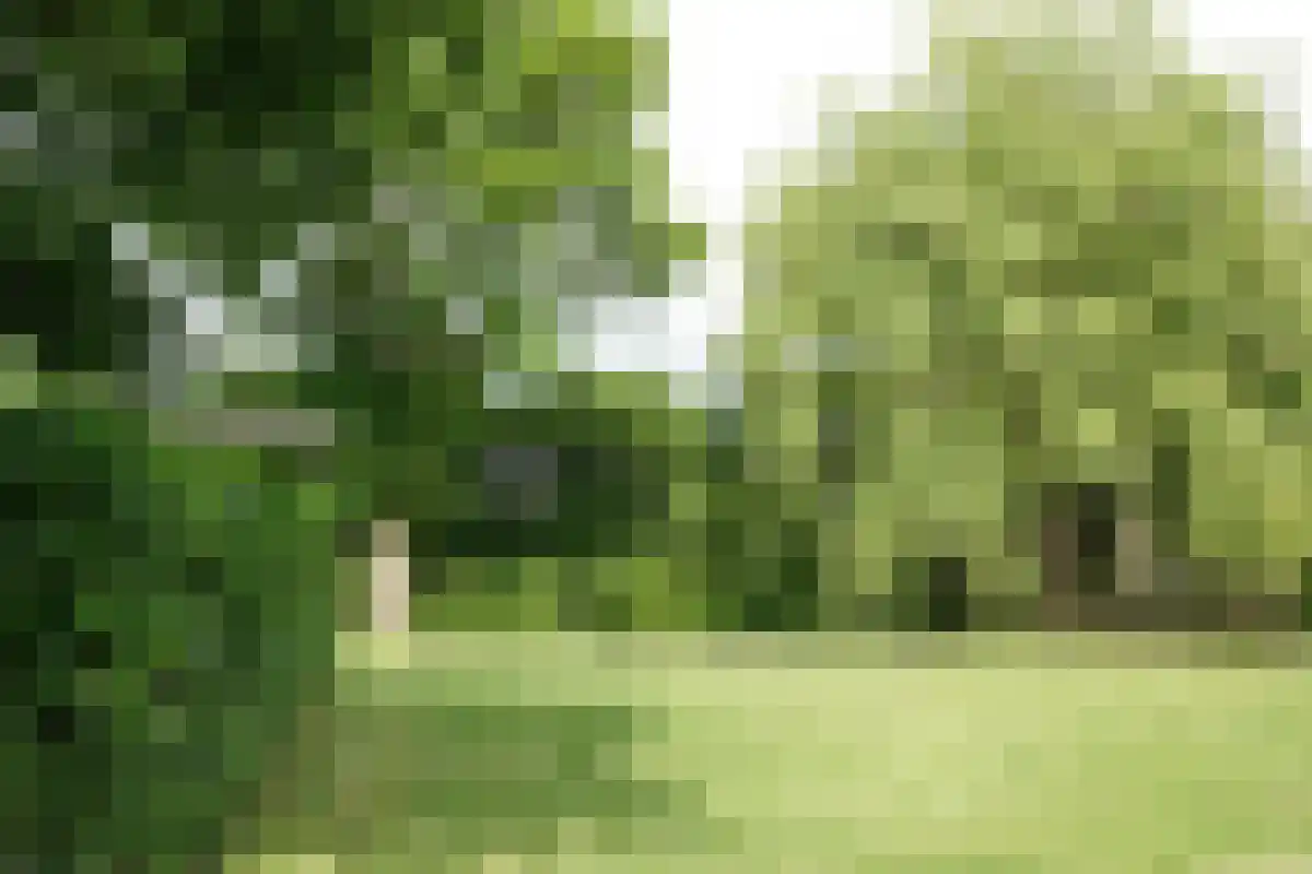 Tweede Dijk 3 Sint-Maartensdijk thumbnail 6