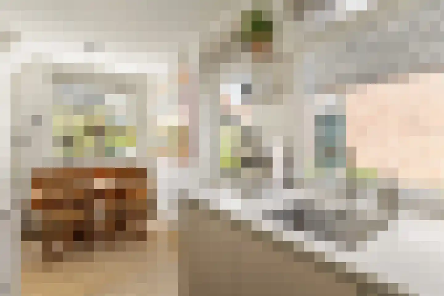 Tweede Disteldwarsstraat 2 Amsterdam thumbnail 12