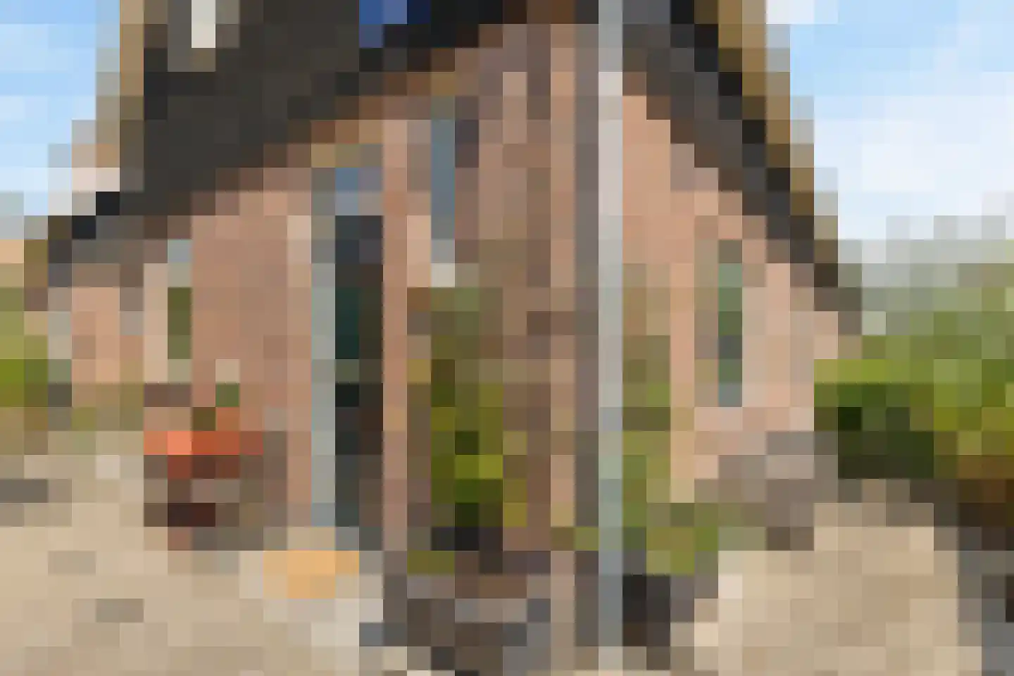 Tweede Disteldwarsstraat 2 Amsterdam thumbnail 27