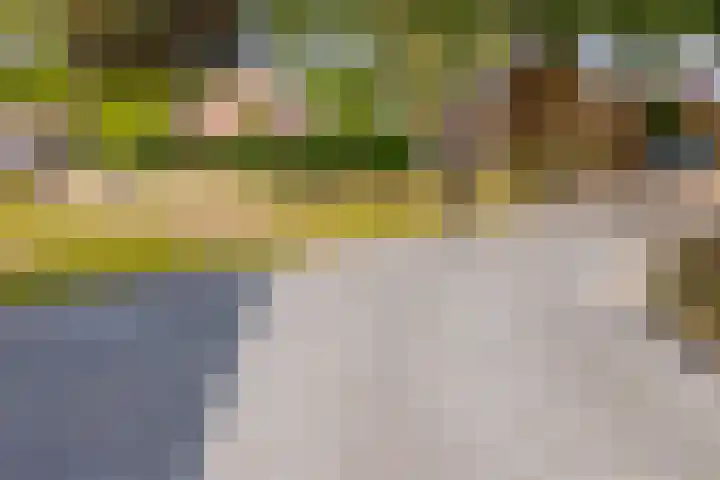 Tweede Dwarsdiep 13 Gasselternijveenschemond thumbnail 10