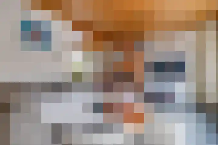 Tweede Dwarsdiep 13 Gasselternijveenschemond thumbnail 15