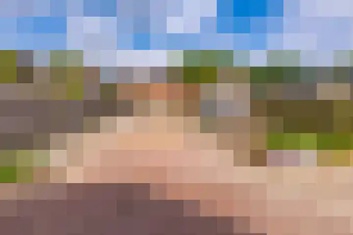 Tweede Dwarsdiep 13 Gasselternijveenschemond thumbnail 43