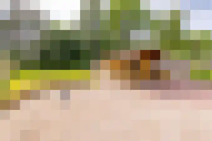 Tweede Dwarsdiep 13 Gasselternijveenschemond thumbnail 5