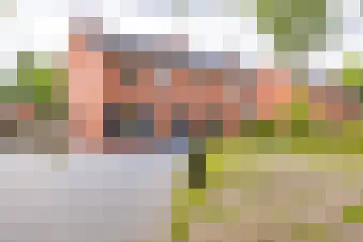 Tweede Dwarsdiep 13 Gasselternijveenschemond thumbnail 6