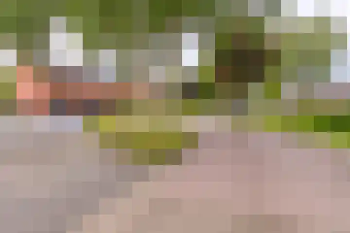 Tweede Dwarsdiep 13 Gasselternijveenschemond thumbnail 8