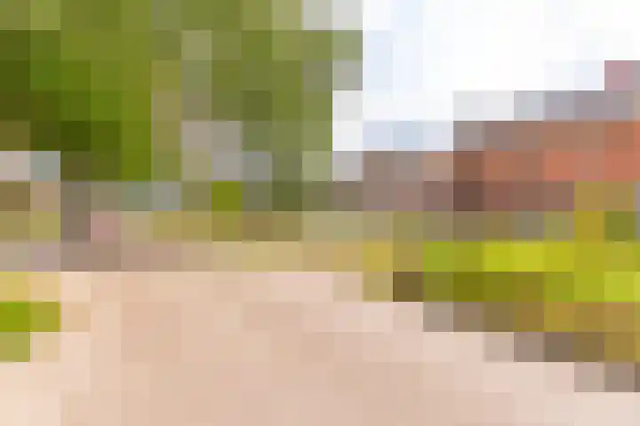 Tweede Dwarsdiep 13 Gasselternijveenschemond thumbnail 9