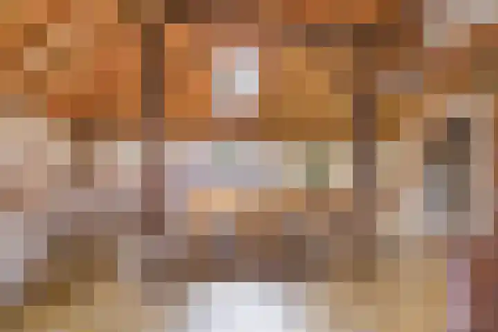 Tweede Dwarsdiep 18 Gasselternijveenschemond thumbnail 4