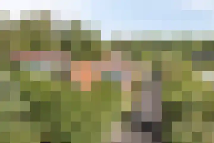 Tweede Dwarsdiep 18 Gasselternijveenschemond thumbnail 41