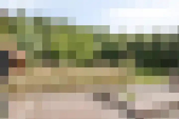 Tweede Dwarsdiep 18 Gasselternijveenschemond thumbnail 44