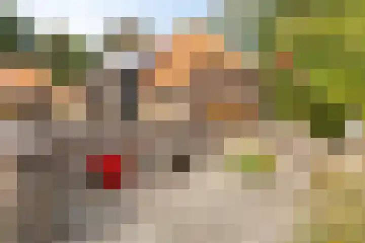 Tweede Dwarsdiep 18 Gasselternijveenschemond thumbnail 46