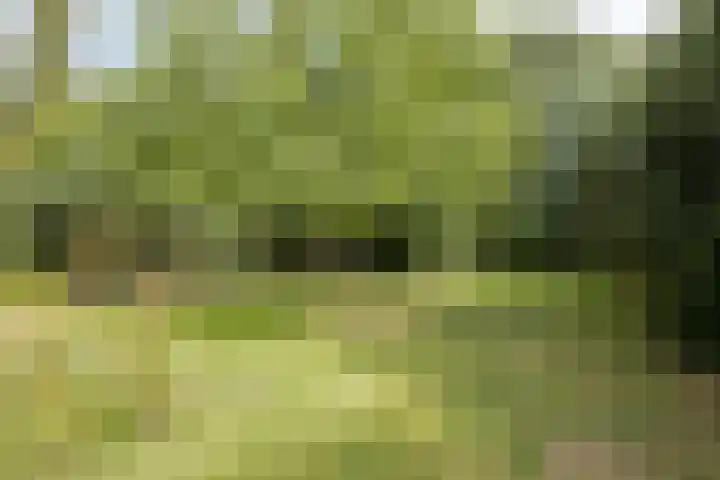 Tweede Dwarsdiep 18 Gasselternijveenschemond thumbnail 48