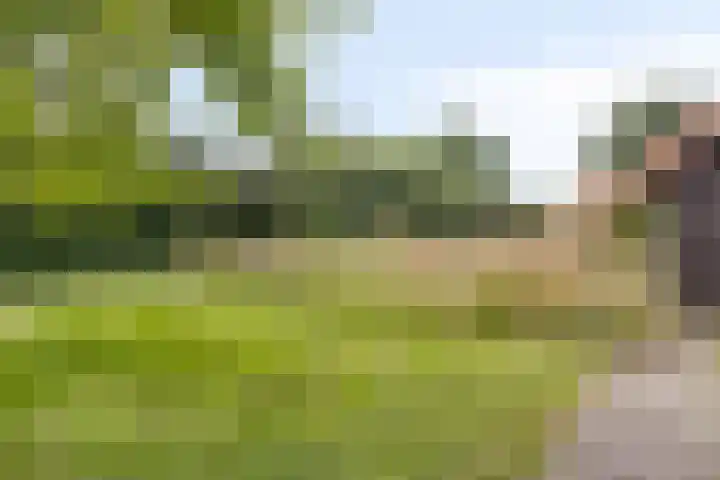 Tweede Dwarsdiep 18 Gasselternijveenschemond thumbnail 49