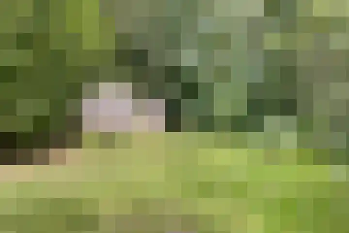 Tweede Dwarsdiep 18 Gasselternijveenschemond thumbnail 51