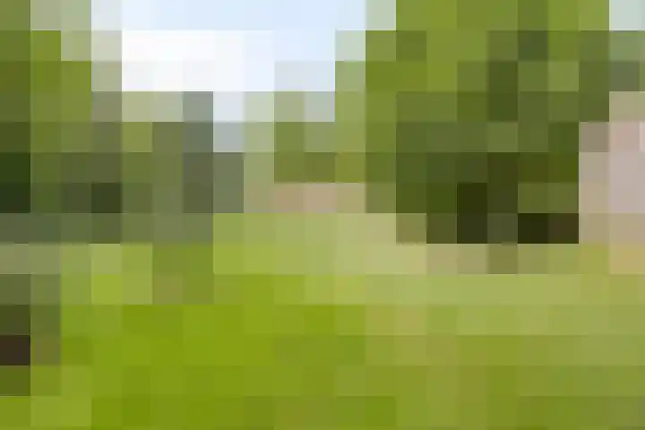 Tweede Dwarsdiep 18 Gasselternijveenschemond thumbnail 53
