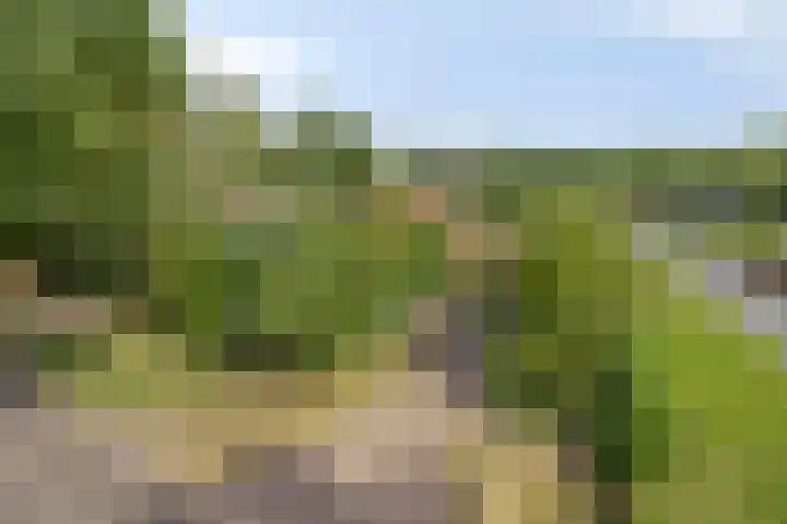 Tweede Dwarsdiep 18 Gasselternijveenschemond thumbnail 6