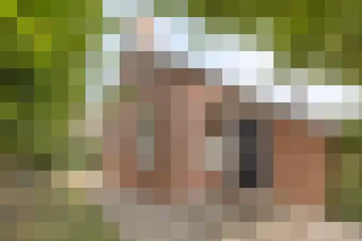 Tweede Dwarsdiep 18 Gasselternijveenschemond thumbnail 8