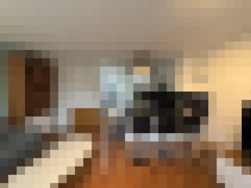 Tweede Egelantiersdwarsstraat 22 Amsterdam thumbnail 4