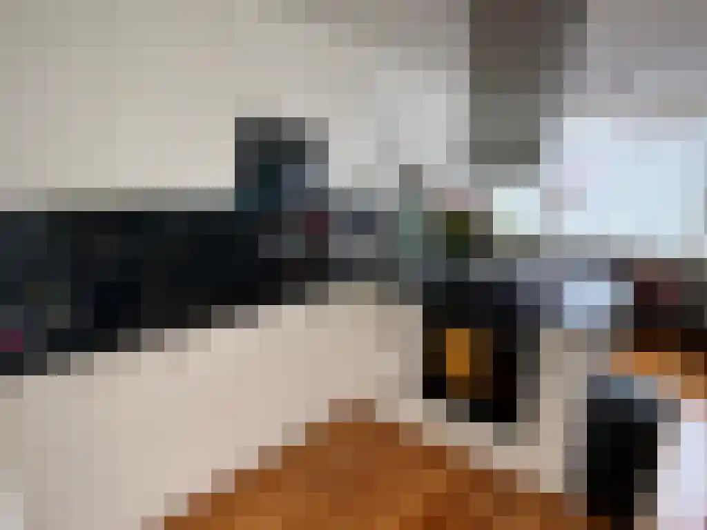 Tweede Egelantiersdwarsstraat 24 Amsterdam thumbnail 4