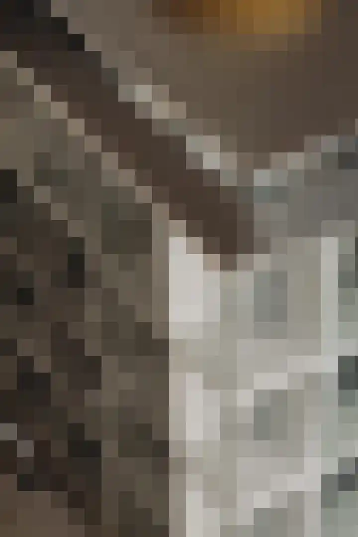 Tweede Egelantiersdwarsstraat 65 Amsterdam thumbnail 13