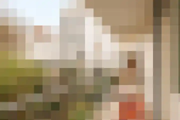 Tweede Egelantiersdwarsstraat 65 Amsterdam thumbnail 18