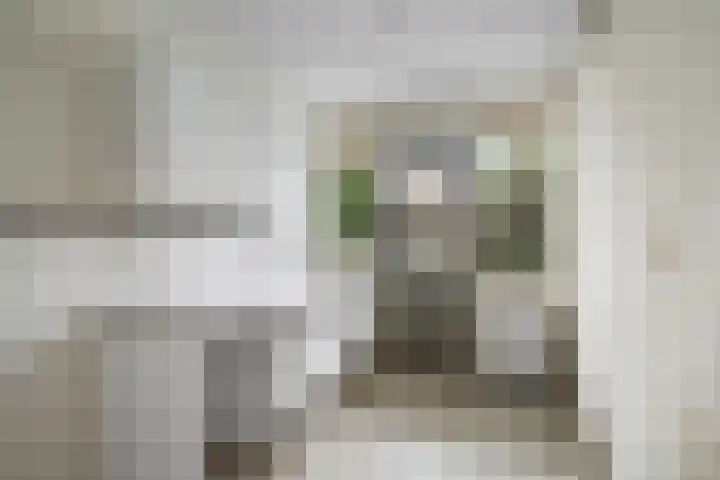 Tweede Egelantiersdwarsstraat 67 Amsterdam thumbnail 7