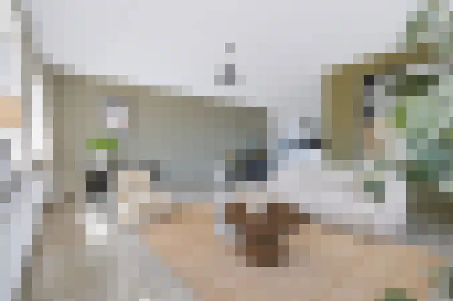 Tweede Elsweg 10 a Mariënberg thumbnail 10