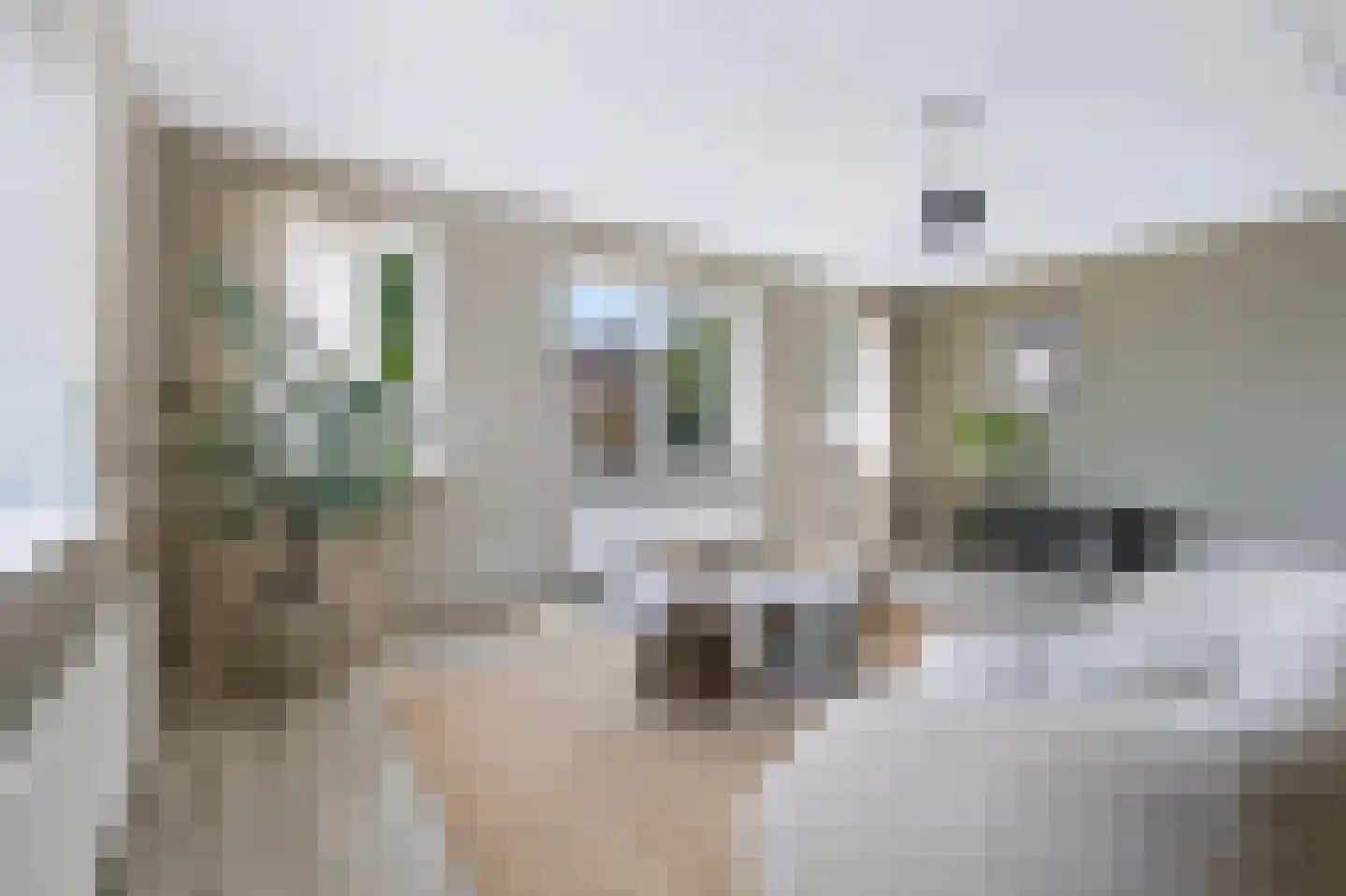 Tweede Elsweg 10 a Mariënberg thumbnail 11