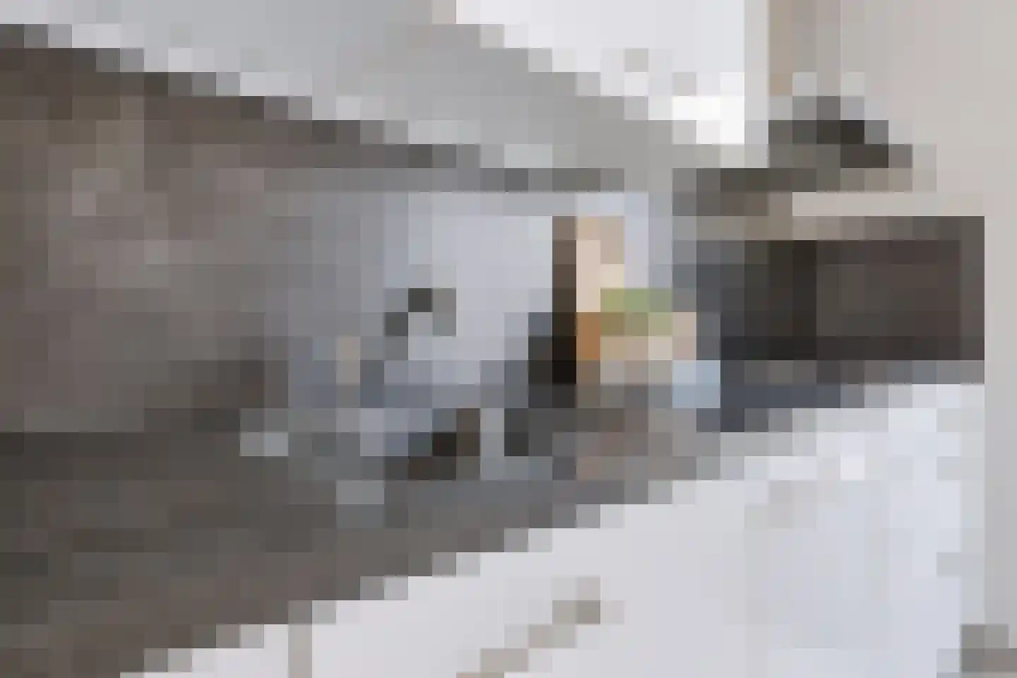 Tweede Elsweg 10 a Mariënberg thumbnail 16
