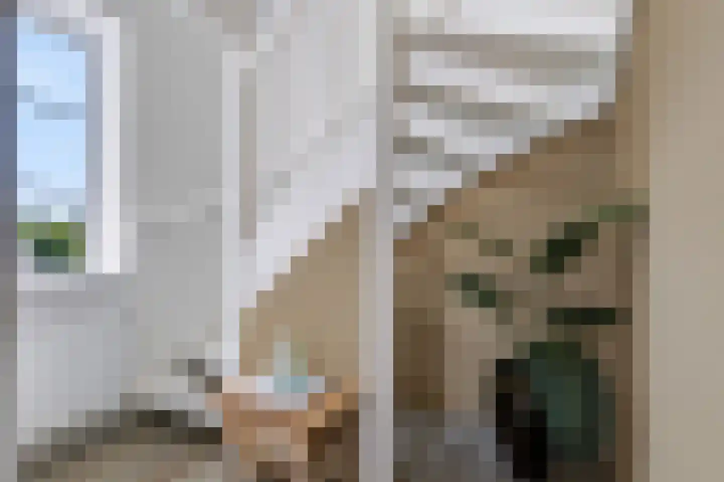 Tweede Elsweg 10 a Mariënberg thumbnail 21