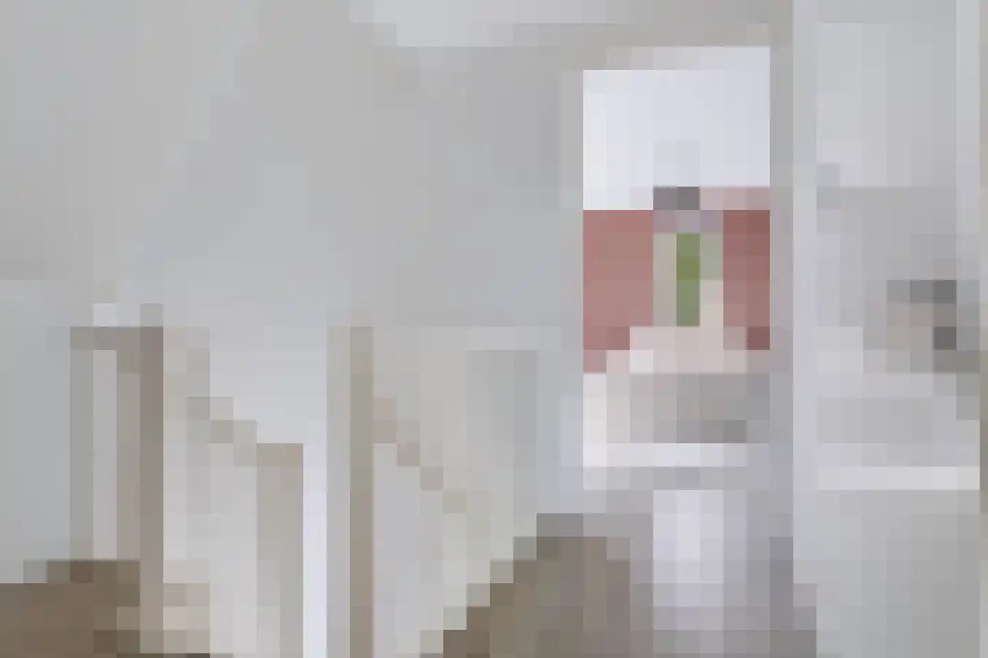 Tweede Elsweg 10 a Mariënberg thumbnail 22