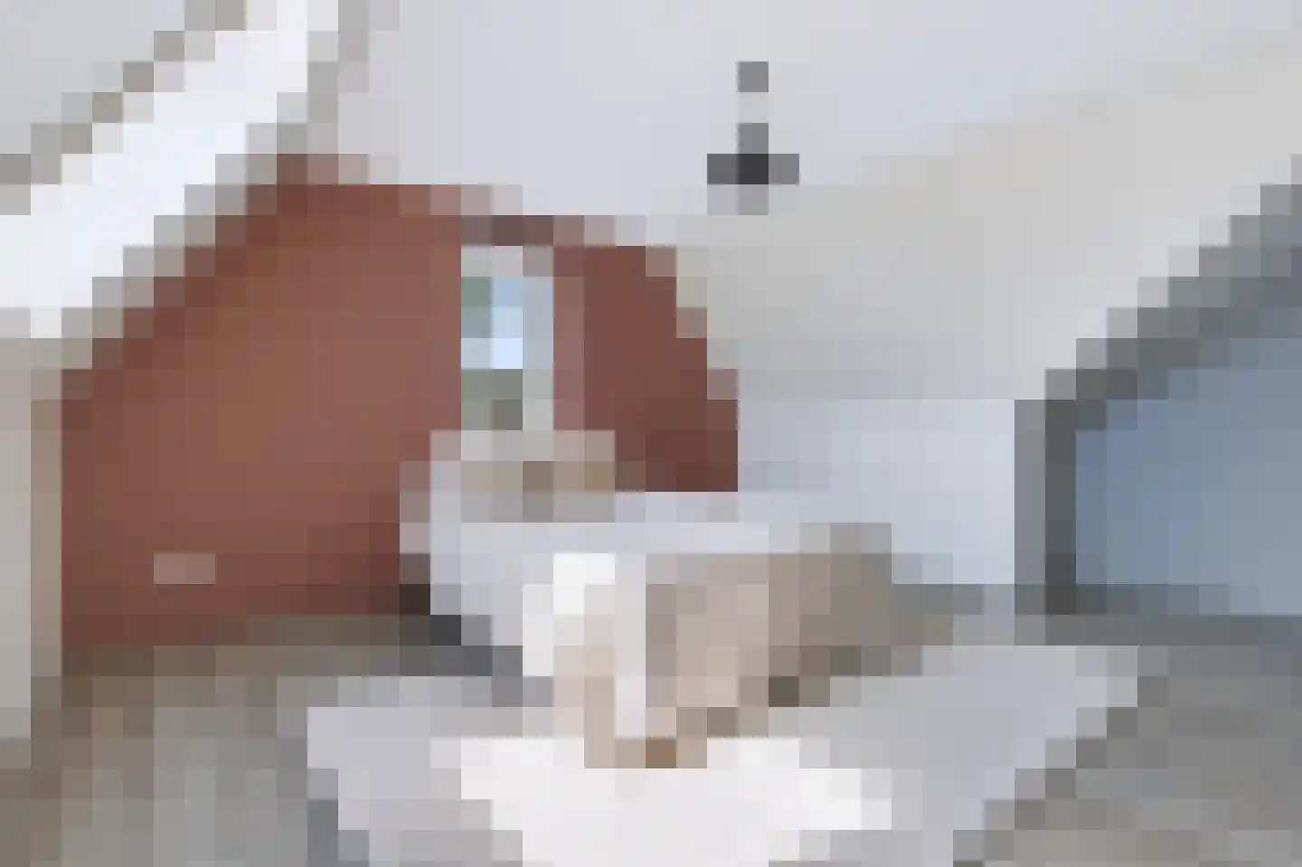 Tweede Elsweg 10 a Mariënberg thumbnail 24