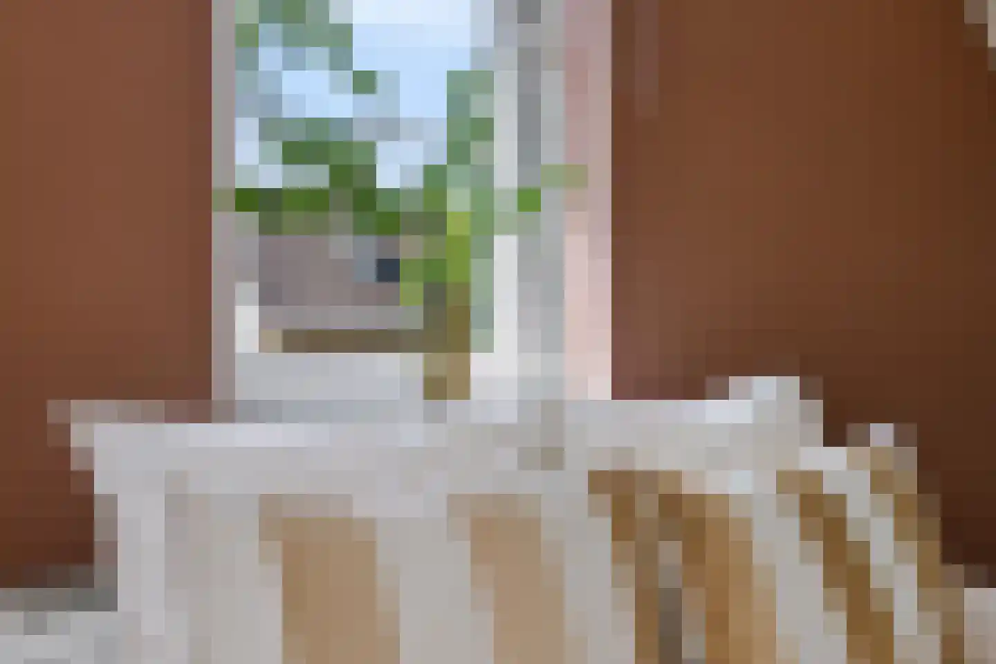 Tweede Elsweg 10 a Mariënberg thumbnail 25