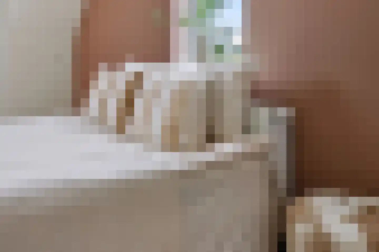 Tweede Elsweg 10 a Mariënberg thumbnail 26