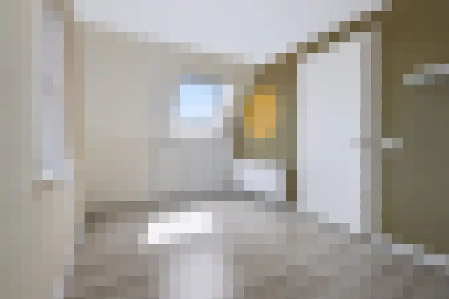 Tweede Elsweg 10 a Mariënberg thumbnail 30