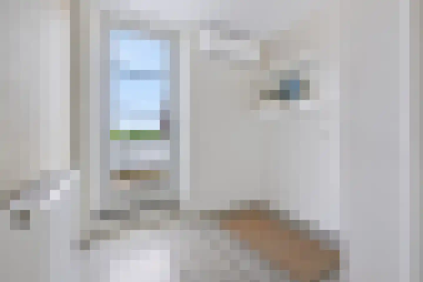 Tweede Elsweg 10 a Mariënberg thumbnail 32