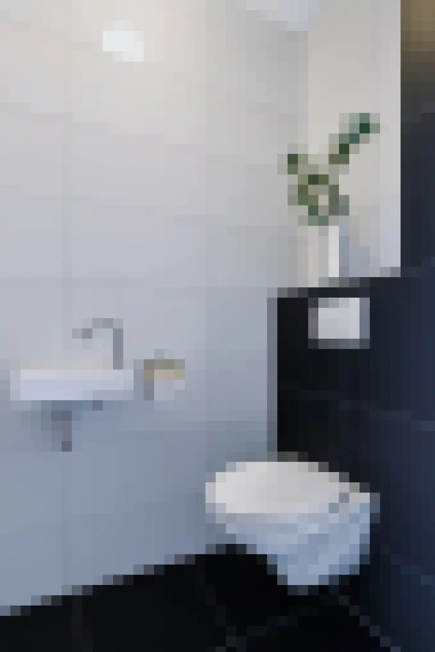 Tweede Elsweg 10 a Mariënberg thumbnail 9