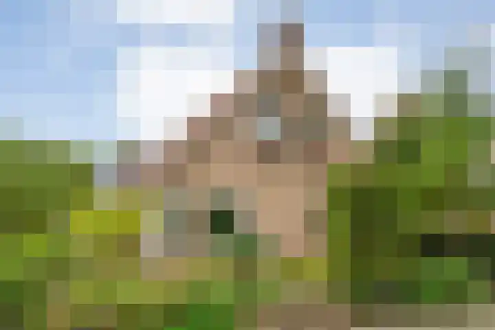 Tweede Elsweg 5 Mariënberg