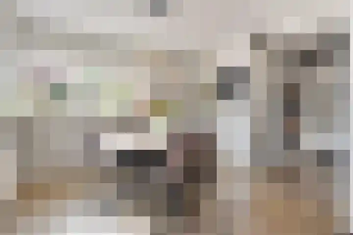 Tweede Elsweg 5 Mariënberg thumbnail 16