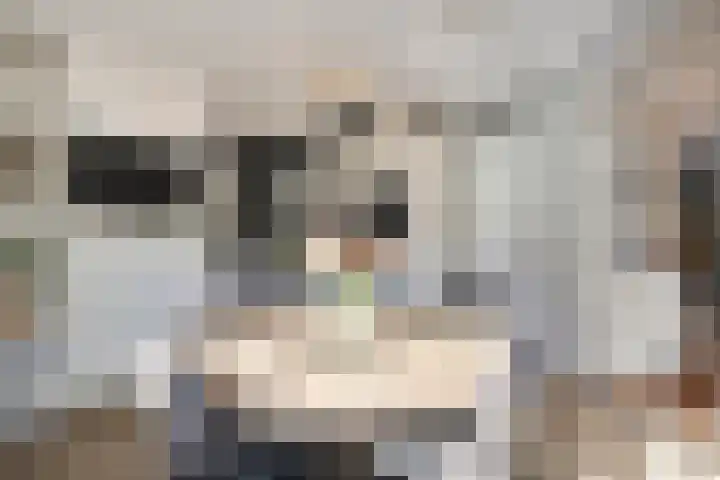 Tweede Elsweg 5 Mariënberg thumbnail 17