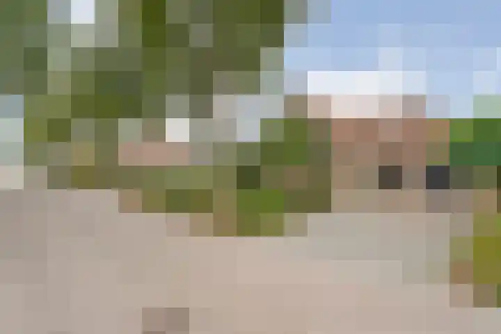 Tweede Elsweg 5 Mariënberg foto 2