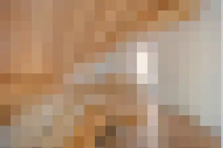 Tweede Elsweg 5 Mariënberg thumbnail 27